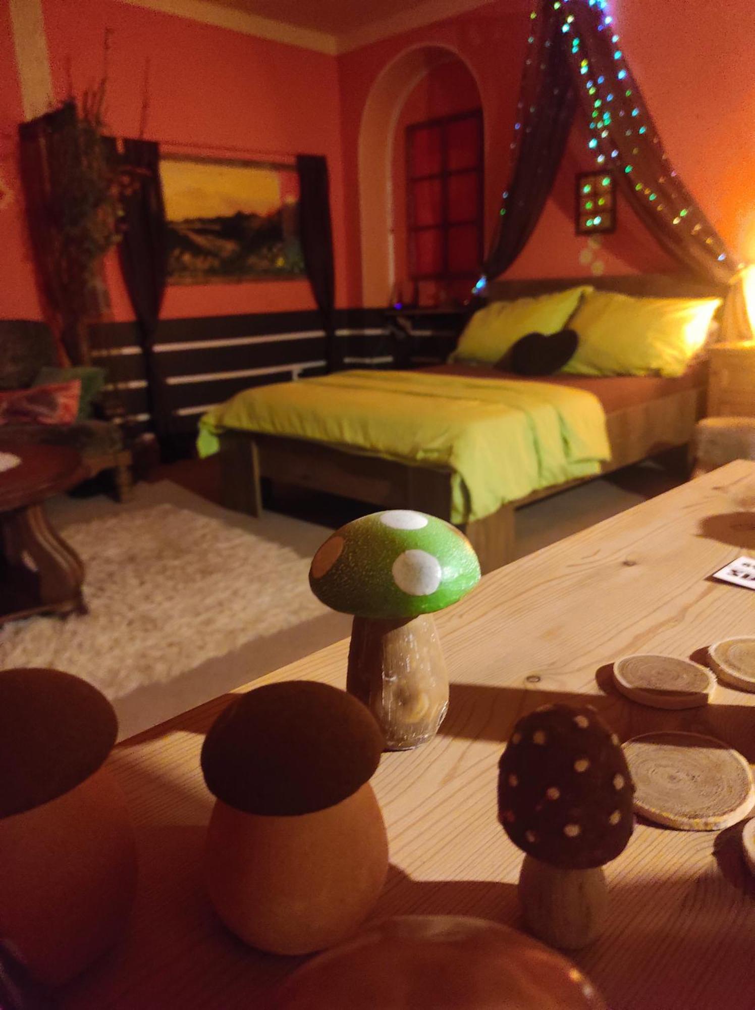Pension Relax Litoměřice Cameră foto
